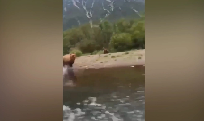 Медведица устроила погоню за туристами в лодке0