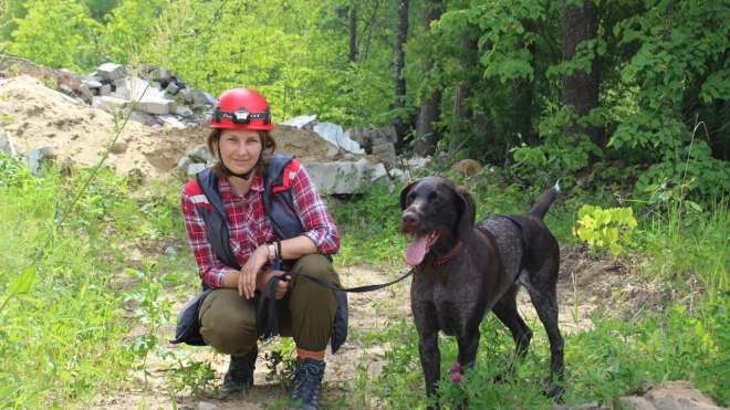 В Петербурге и Ленобласти ищут пропавшую собаку породы дратхаар Шельму