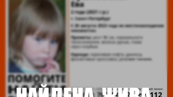 Пропавшая двухлетняя девочка нашлась в Петербурге