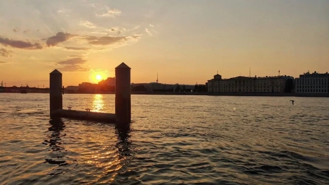 Летом 2023 года в Петербурге солнце светило почти каждый день