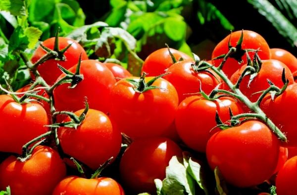 Петербуржцам рассказали о самых полезных овощах в августе 