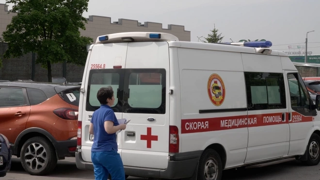 В Петербурге ветка упала на спину беременной женщины во время гендер-пати