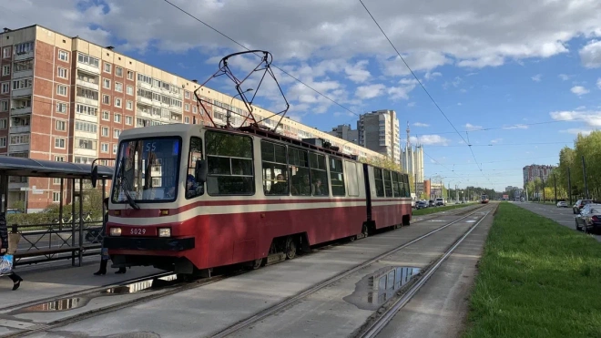 Путин утвердил модернизацию общественного транспорта Петербурга