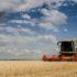 Российские фермеры больше не могут молчать: сельскому хозяйству страны грозит коллапс из-за цен на д...
