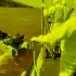 Сотрудники МЧС РФ с начала работ в Ливии подняли более 110 тел погибших после наводнения