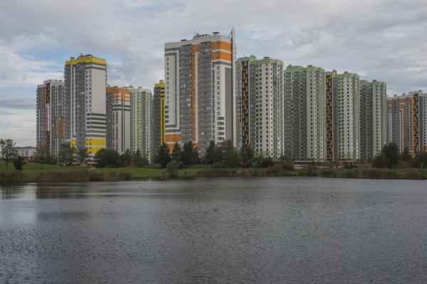 В Петербурге увеличилась выдача льготной ипотеки IT-специалистам