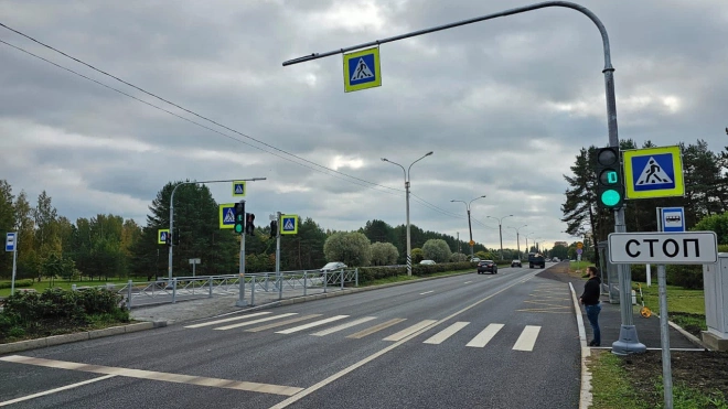 В Сестрорецке заработал новый светофор у остановки "Кладбище"