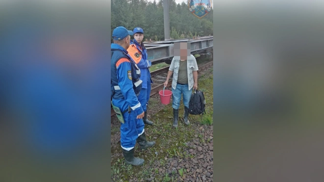 Спасатели Ленобласти вывели из леса заблудившуюся пожилую женщину