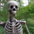 В лесу под Тихвином обнаружен вросший в мох скелет женщины