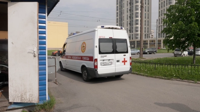 Двухмесячная петербурженка умерла в квартире на Бухарестской