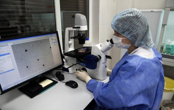 В России разработали ИИ-систему для диагностики рака желудка по биопсии

