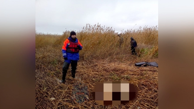 Спасатели Ленобласти нашли скелет человека в Ладожском озере