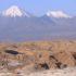 Изучен геном хомячков, живущих в “марсианских” условиях чилийского высокогорья