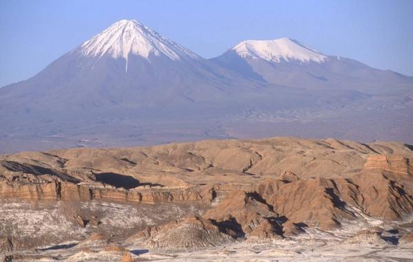 Изучен геном хомячков, живущих в "марсианских" условиях чилийского высокогорья

