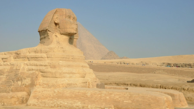 Спрос на туры в Египет из Петербурга снизился на 30%