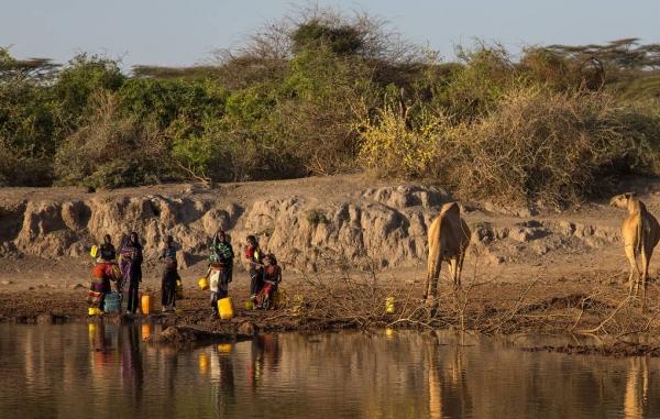 Задержку развития детей в эфиопских селах связали с избытком фтора в воде

