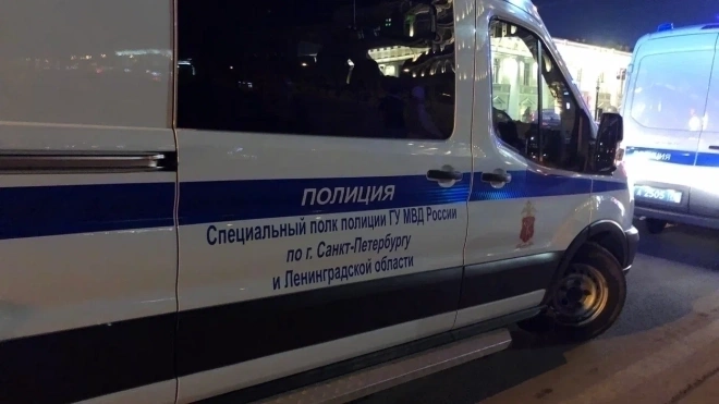 В Петербурге проходят обыски у возможных соучастников избиений прохожих 