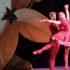 В Петербурге хотят открыть музей балета