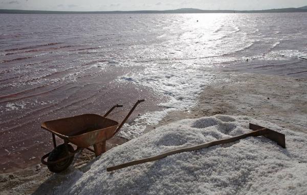 Экологи выяснили, что человечество нарушает глобальный круговорот соли в природе

