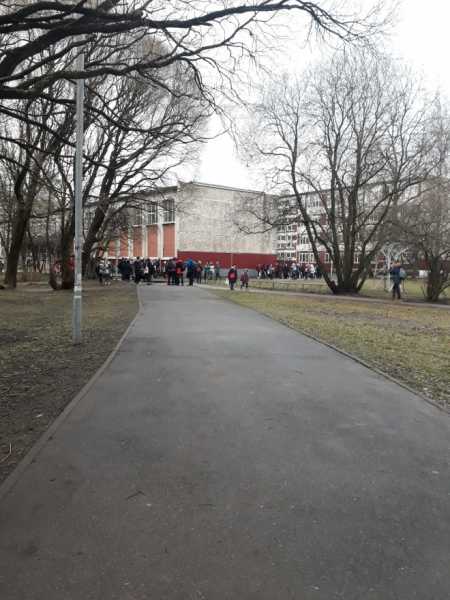 Волна лжеминирований накрыла сразу семь школ Петербурга 1