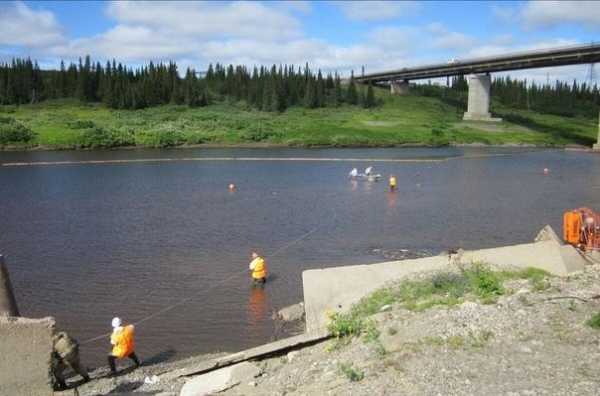 В районе крупнейшего месторождения в НАО обнаружили загрязнение на реке2