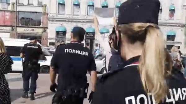 В Петербурге на пикетах против проекта Мизулиной задержали 11 человек