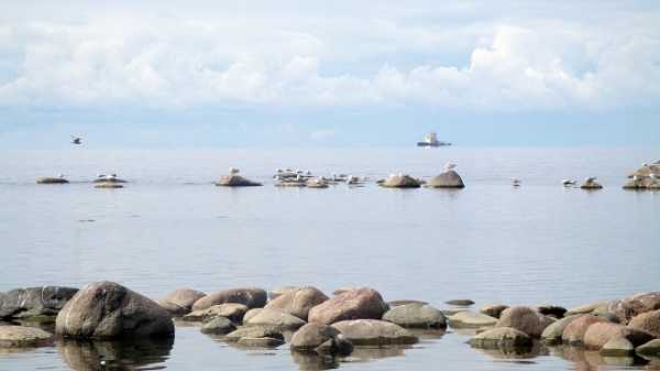 На берегу Финского залива нашли труп