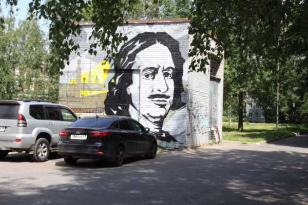 В Петербурге стену трансформаторной подстанции украсили портретом Петра Первого1