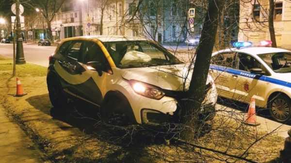 Водитель хотел скрыться от сотрудников ДПС, но врезался в дерево в Кронштадте