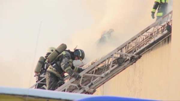 Житель квартиры на Савушкина погиб, спасаясь от пожара
