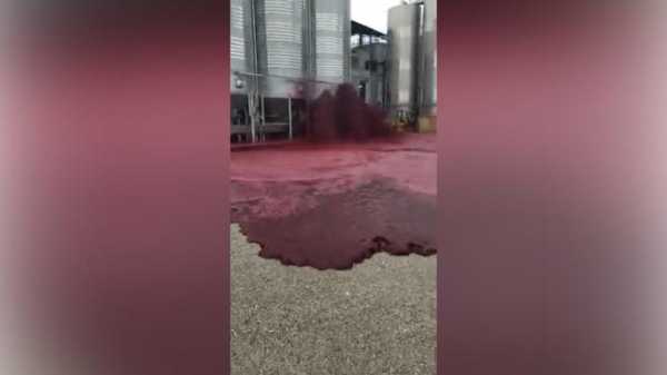 Испанский завод затопило красным вином0