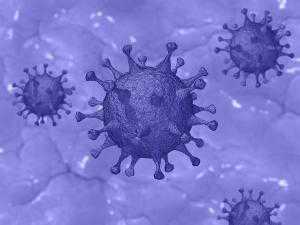 Ученые выяснили, как коронавирус проникает в организм
