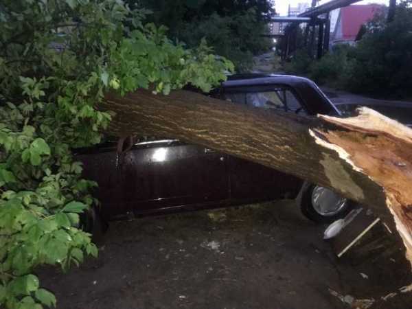 Во Владимирской области ураган повалил почти 100 деревьев 0