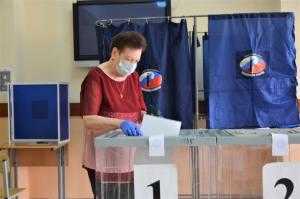 ВОЗ положительно оценивает противоэпидемиологические меры на российских избирательных участках