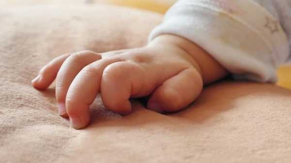 В Петербурге нашли тело рожденного суррогатной матерью младенца