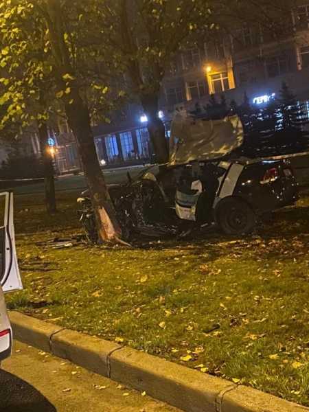 В Петербурге студент на каршеринговом авто врезался в дерево и погиб1