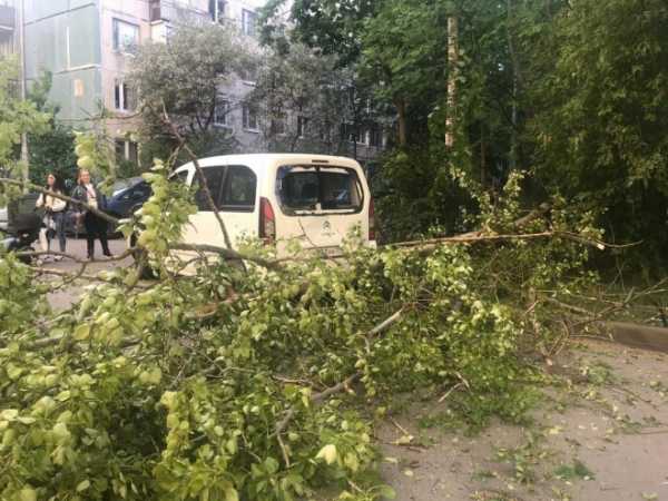 Еще три дерева за день упали на машины в разных районах города4