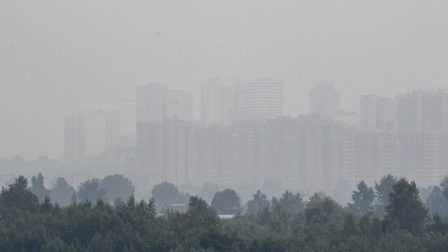 Пожары в Красноярском крае уничтожают почти миллион гектаров леса 